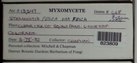 Image Associated With the Occurence